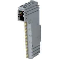 X20CS1013