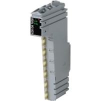 X20DS1828