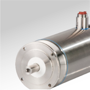 8JS nierdzewne silniki synchroniczne